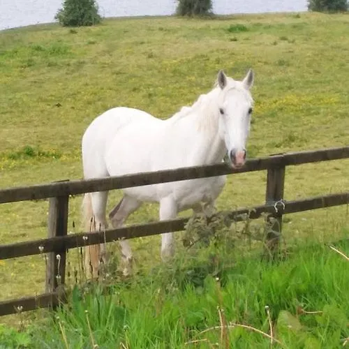 Lakeview Ferienhaus Ballinamore